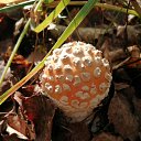 �������� 30.08.2020 �� ������� ���� ����������