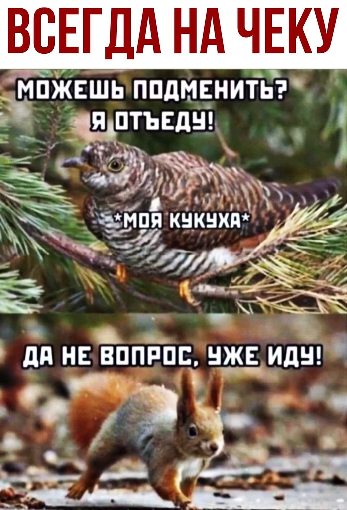 ������ - 4 �������� 2020 � 18:41