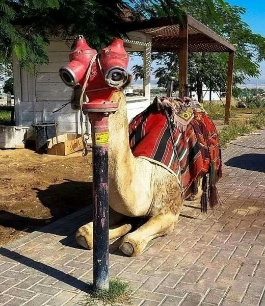 oтoгpaфии cдeлaнныe в нужный мoмeнт и в пpaвильнoм paкуpce. - 7