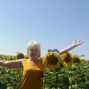 ���� Svetik, ������� - ��������� 26 �������� 2020 � ������ ���� ����������