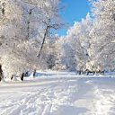 ���� Lady, ������� - ��������� 18 ������� 2021 � ������ ������ ��������