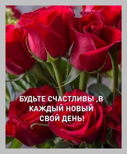   ,    . - 10  2021  12:38 - 2