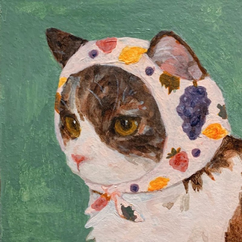 The �����cats �� ��������� Schuchtern Selynn - 2