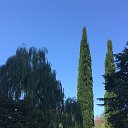 ���� ������, �����-���������, 53 ���� - ��������� 27 ������� 2020 � ������ ������� 2020�
