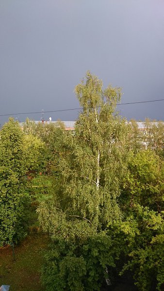 Я конечно не фотограф, но игра солнечного света не даёт оставаться равнодушной! Целую радугу не ... - 3