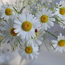 ���� ������, ������, 65 ��� - ��������� 29 ������� 2020 � ������ ������ ��������