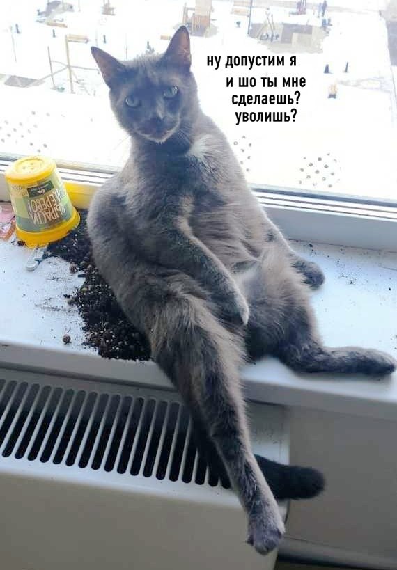  ,    ? 