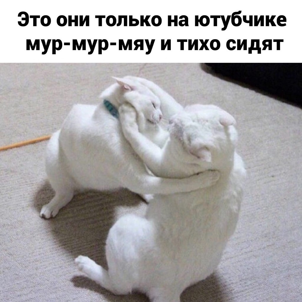   . - 3