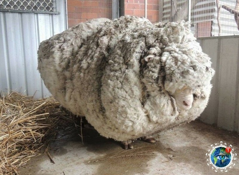 o o e, ec e cp o ecoo e. a aa oepac  cpa  ae o e ...