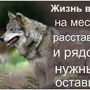 ���� ������, ��������� - ��������� 26 �������� 2020 � ������ ������ ��������