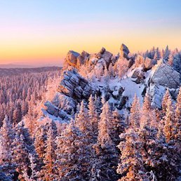 ���� ����������, �����������, 41 ��� - ��������� 13 ������� 2020