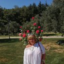 ���� �����, �������, 64 ���� - ��������� 24 �������� 2020 � ������ ���� ����������