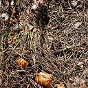 ���� �����, ������ - ��������� 11 �������� 2020 � ������ ���� ����������