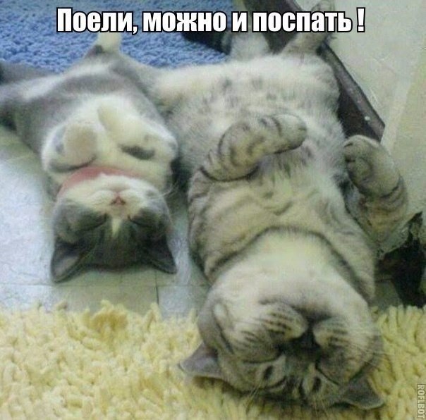 ��� �������� �������� - 10 ������� 2020 � 20:45