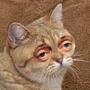 ���� Drakonovyi, ������, 33 ���� - ��������� 16 ������� 2020 � ������ ���� ����������