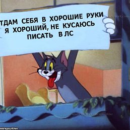 ���� Kijimoshi, ��������, 38 ��� - ��������� 27 ������� 2020