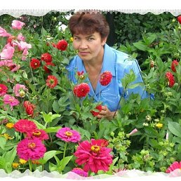 ���� ��������, ���������, 60 ��� - ��������� 24 �������� 2020