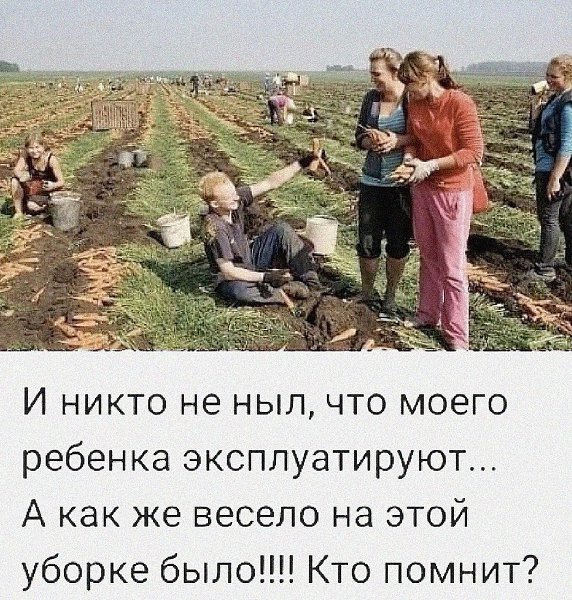 -,    