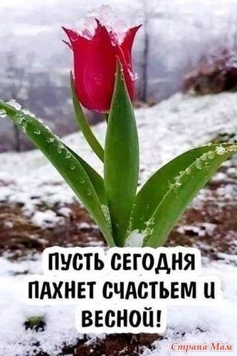 - 1  2021  10:57