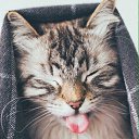 ���� ����, ����, 42 ���� - ��������� 17 ����� 2021 � ������ ���� ����������