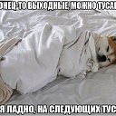 ���� ���, ����, 41 ��� - ��������� 6 ������ 2021 � ������ ������ ��������