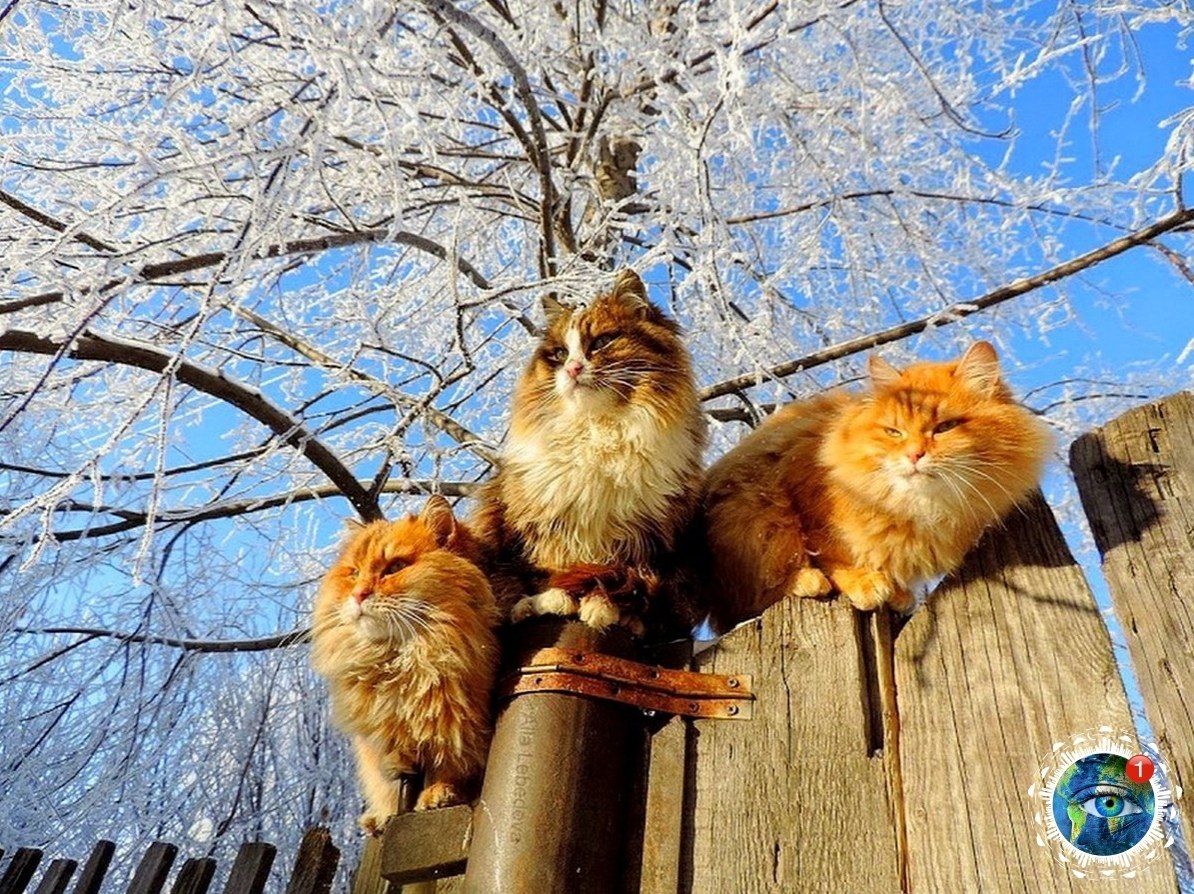 �epe�e�c��e �o��, �a� o�������� ��� ����o��.������� - 5