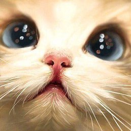 ����, ������, 38 ���