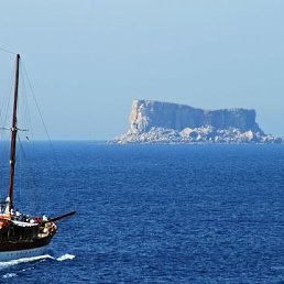 ����, ������-��-����, 41 ���