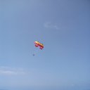 ���� �������, ���� - ��������� 29 ������� 2020 � ������ ������ ��������
