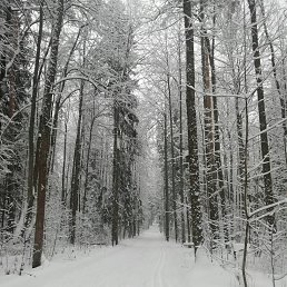 ���� ������, ��������� - ��������� 17 ����� 2021