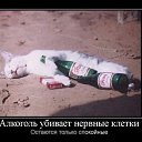 ���� ���� �����������, ������������, 58 ��� - ��������� 24 ������� 2020 � ������ ���������