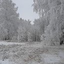 ���� ��������, ���� - ��������� 5 ������� 2020 � ������ ���� ����������