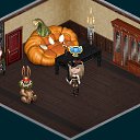 ���� � ��������+_+, ������, 25 ��� - ��������� 31 ������� 2020 � ������ �Tropikania�