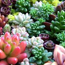 ���� ����� ��������, ������, 63 ���� - ��������� 24 ������ 2020 � ������ ������ ��������