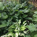 ���� �����, �����-���������, 58 ��� - ��������� 26 �������� 2020 � ������ ����� ��� ��������� �����))) 2020�