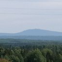 ���� �������, �����, 54 ���� - ��������� 28 ������ 2020 � ������ ���� ����������