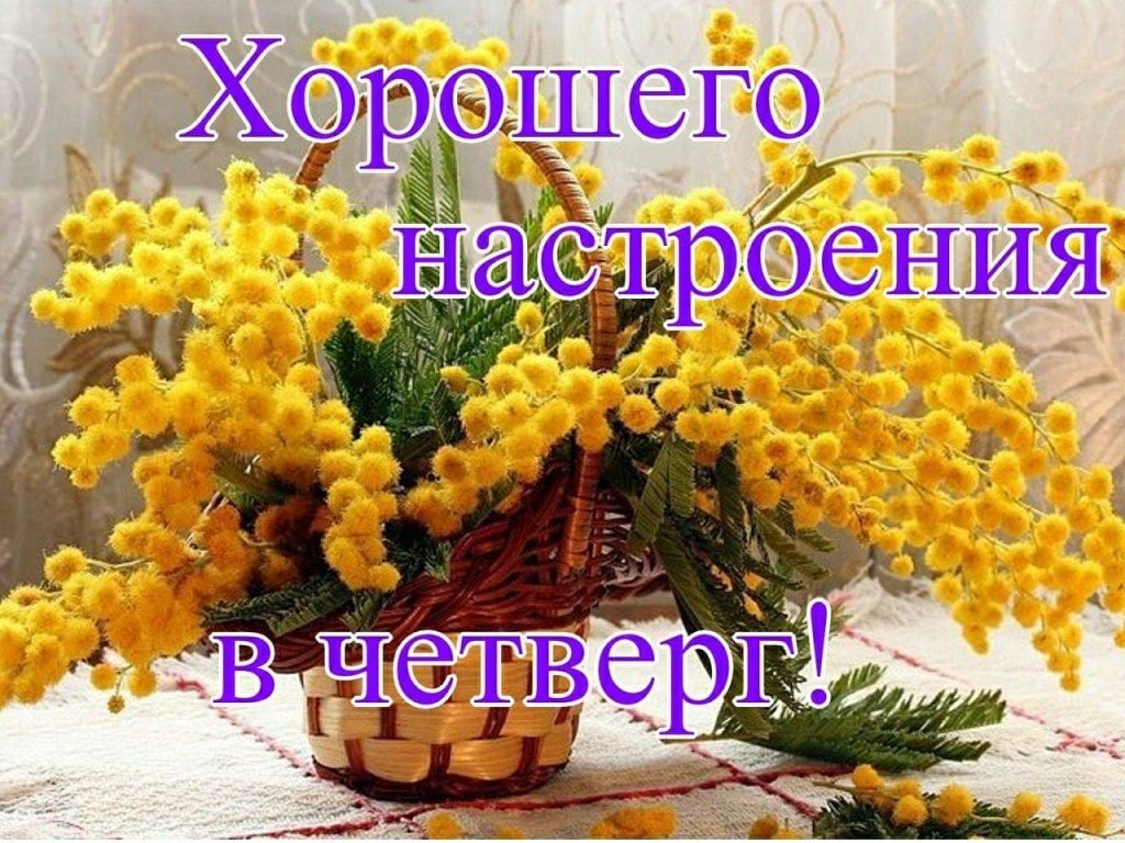   ,    . - 17  2021  23:59 - 4