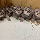 ������ ������ ������. �� ������� ���� ����������