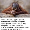 ���� ������, ���������, 57 ��� - ��������� 23 ������� 2020 � ������ ���� ����������