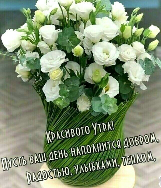  (   ) - 24  2021  04:04