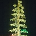 ���� �����, ������, 62 ���� - ��������� 16 ������ 2021 � ������ ������� ������ 2021�