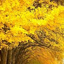 ���� Sann, ������, 32 ���� - ��������� 8 ������� 2021 � ������ ���� ����������