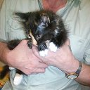 ���� �������, ����� - ��������� 24 �������� 2020 � ������ ���� ����������