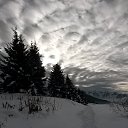 ���� ������, ������, 50 ��� - ��������� 17 �������� 2020 � ������ ���� ����������