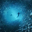 ���� N M, ������, 45 ��� - ��������� 16 �������� 2020