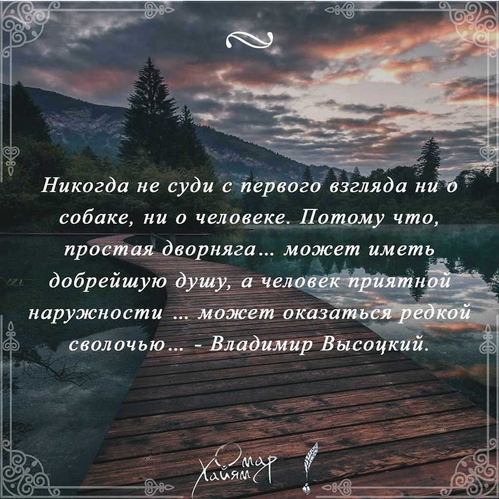 Никогда не суди с первого взгляда ни о собаке, ни о ... | Омар Хайям и  другие великие философы | Фотострана | Пост №2283037474