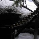 ���� �����, �����-��������� - ��������� 3 ����� 2021 � ������ ������ ��������