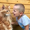 ���� ���������, �����, 67 ��� - ��������� 29 ������� 2020