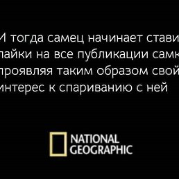 ���� ������, ������, 46 ��� - ��������� 13 ����� 2021
