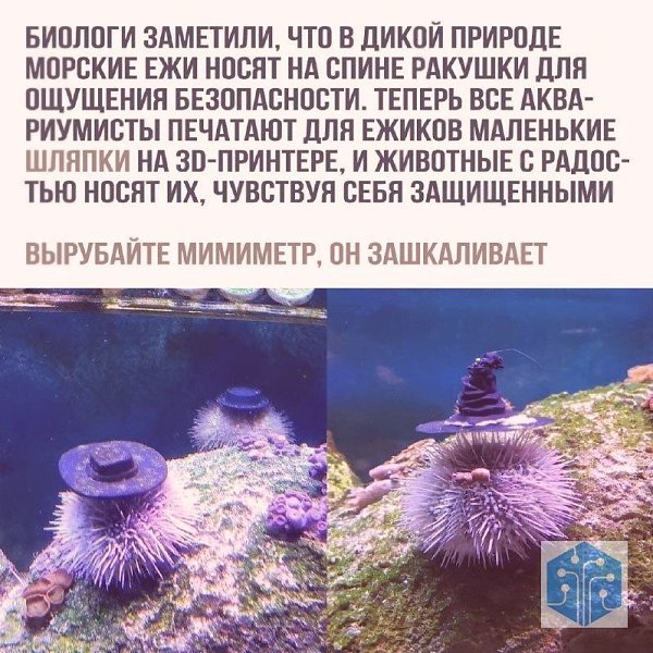 Bce o �ay�e � �ex�o�o���x